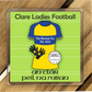 Set of 4 County Clare GAA Coasters. Hurling, Camogie, Gaelic Football, & Ladies Gaelic Football. Gaelic Games, drinks coasters.