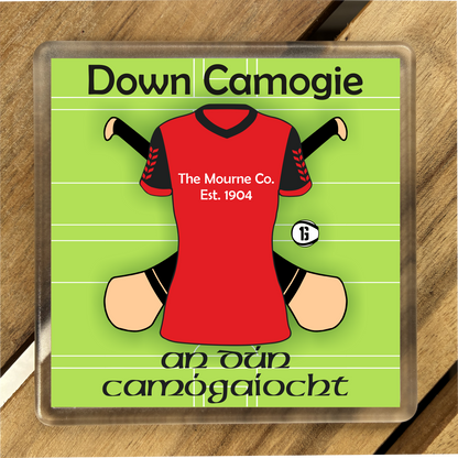 County Down Coasters. Hurling, Camogie, Gaelic Football, & Ladies Gaelic Football. Gaelic Games, drinks coasters.