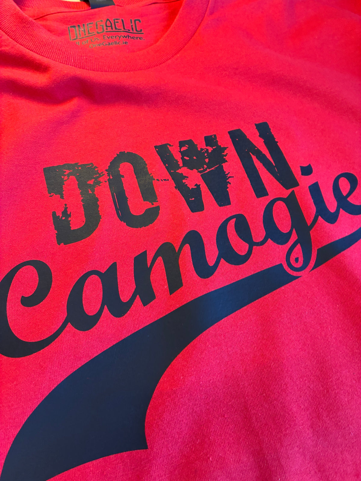 Down Camogie Grunge Swash T-Shirt Adult