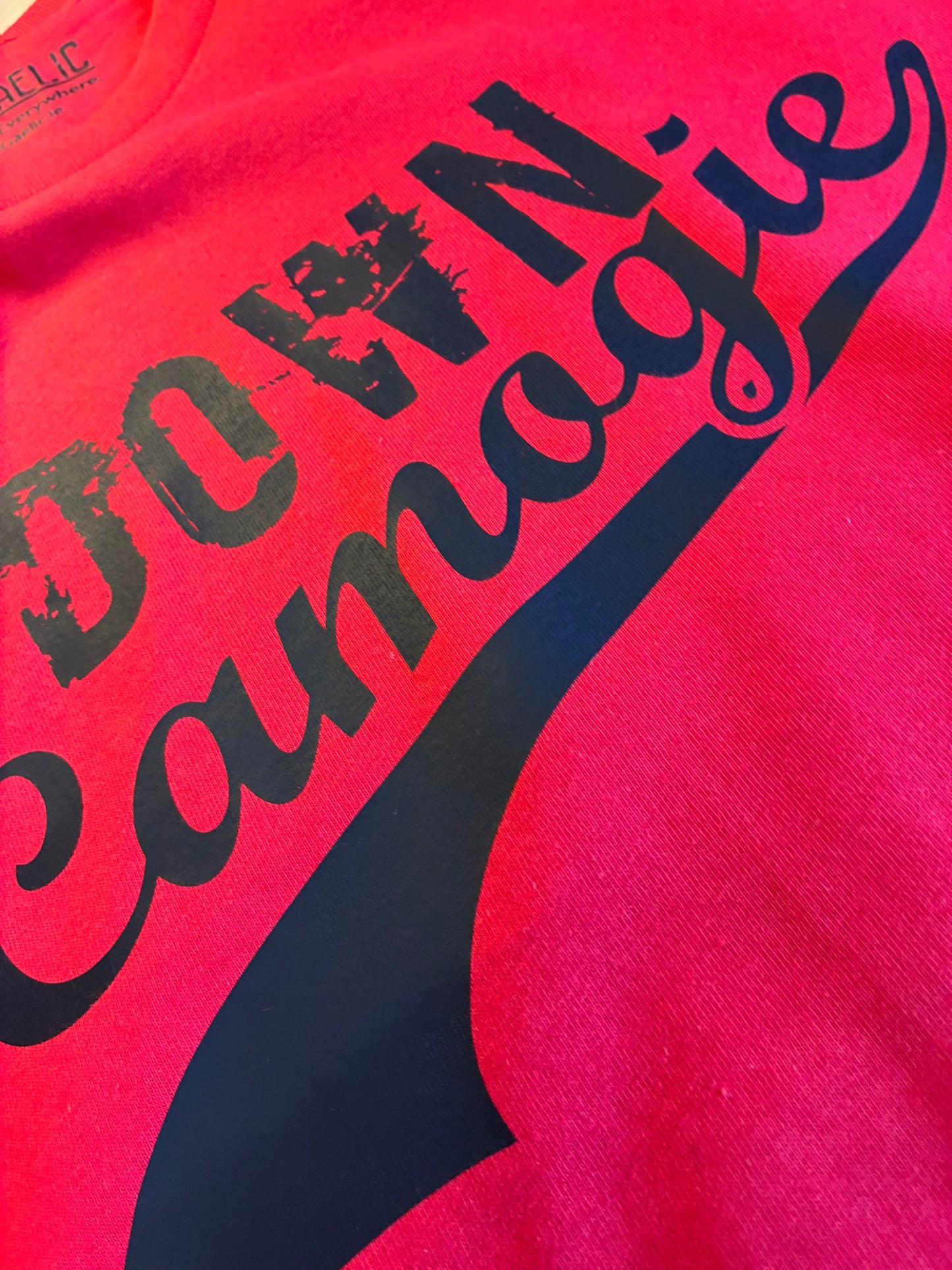 Down Camogie Grunge Swash T-Shirt Adult