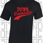 Down Camogie Grunge Swash T-Shirt Adult