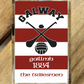 Gaelic Games (GAA) County Colours Plastic Fridge Magnet - All Irish Counties Available. Hurling Camogie Gaelic Football Ladies Gaelic Football