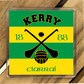 Gaelic Games ( IRL) County Colours Plastic Coaster (single) - All Irish Counties Available. Hurling Camogie Gaelic Football Ladies Gaelic Football