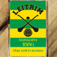 Gaelic Games (GAA) County Colours Plastic Fridge Magnet - All Irish Counties Available. Hurling Camogie Gaelic Football Ladies Gaelic Football