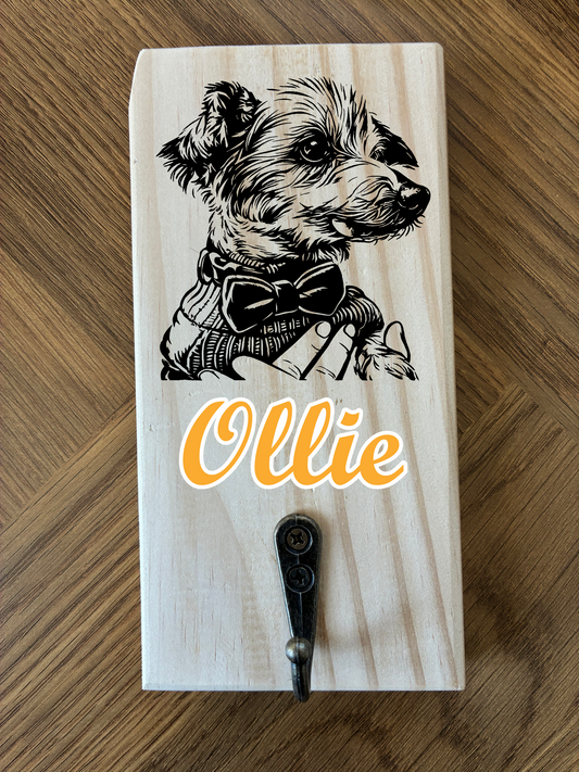 Personalised Dog Lead Holder/Hook - Your County or Club colours (made from reclaimed pallet wood)
