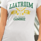 Liatroim, Co. Down, Co. Down, Crossed Hurls Camogie T-Shirt - Ladies Skinny-Fit