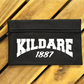 Gaelic Games (GAA) County Colours Pencil Case (single) - Polyester - All Irish Counties Available. Hurling Camogie Gaelic Football Ladies Gaelic Football