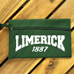 Gaelic Games (GAA) County Colours Pencil Case (single) - Polyester - All Irish Counties Available. Hurling Camogie Gaelic Football Ladies Gaelic Football